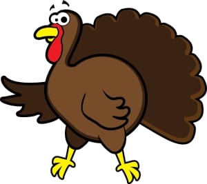 Contact Vital Force St Louis Chiropractor Thanksgiving Specials