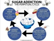 Contact Vital Force St Louis Chiropractor Sugar Addiction Cycle