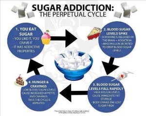 Contact Vital Force St Louis Chiropractor Sugar Addiction Cycle